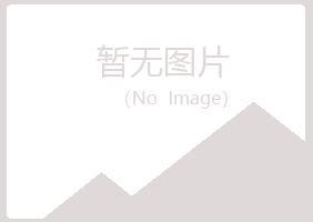 龙山区骤变材料有限公司